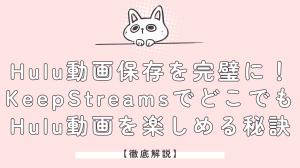 【徹底解説】Hulu動画保存を完璧に！KeepStreamsでどこでもHulu動画を楽しめる秘訣