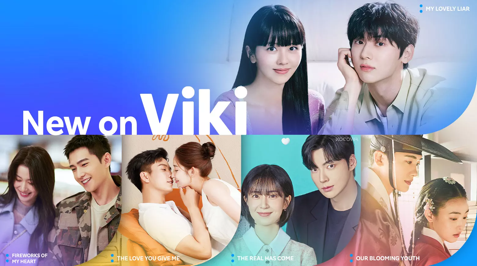 如何下載Viki Rakuten字幕影片？(SRT格式)
