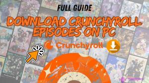 How to Download Crunchyroll Episodes on PC to Watch Offline?